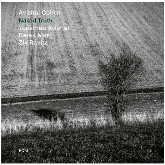 Naked Truth (Pt. 1) by Avishai Cohen