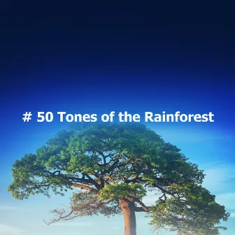 # 50 Tones of the Rainforest by Rainforest Music Therapy