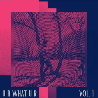 U R WHAT U R -, Vol. 1 by Nige B