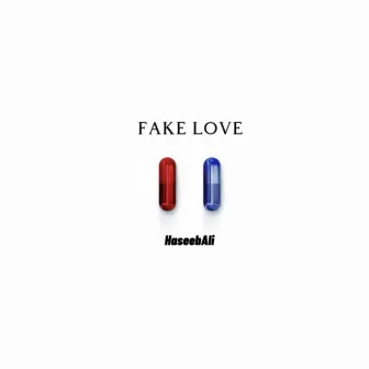 Fake Love by Haseeb Ali VEVO