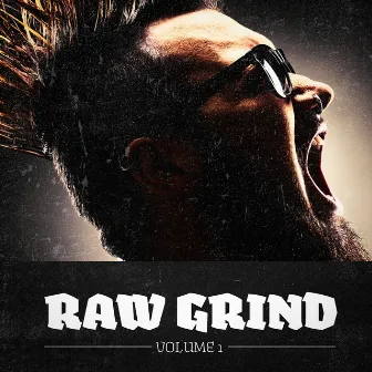 Raw Grind, Vol. 1 (A Selection of Punk, Hardcore & Metal Music) by Unknown Artist