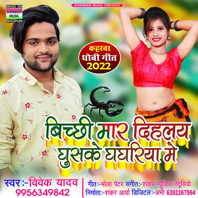 Bichhi Maar Dihlay Ghuske Ghaghariya Me - Bhojpuri