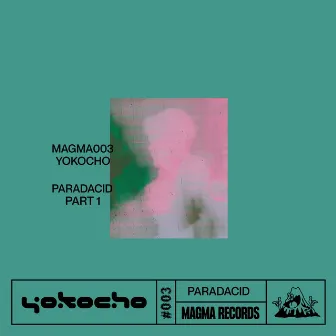 Paradacid Pt.1 by Y O K O C H O