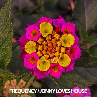 Frequency by Jonny Loves House