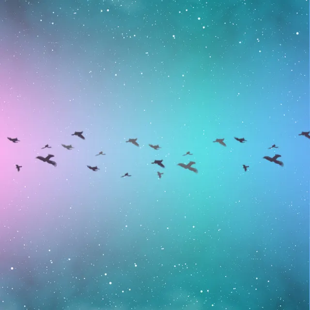 Space Birds