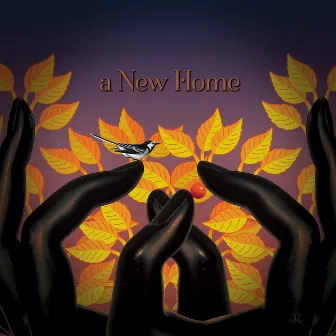 A New Home by Laughing Stock