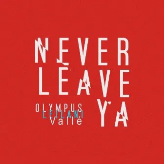 Never Leave Ya by Vallé