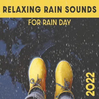 Relaxing Rain Sounds for Rain Day 2022 by Mothers Nature Music Academy