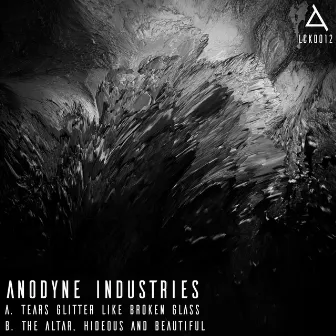 Tears Glitter Like Broken Glass/The Altar, Hideous And Beautiful by Anodyne Industries