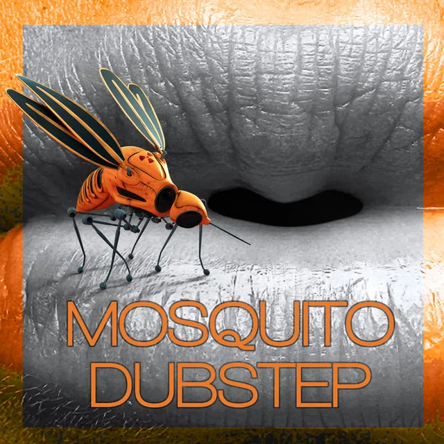 Mosquito Dubstep - Instrumental