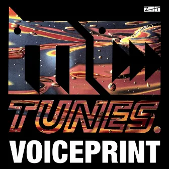 Voiceprint - MC Tunes Vs. 808 State's Greatest Bits by MC Tunes