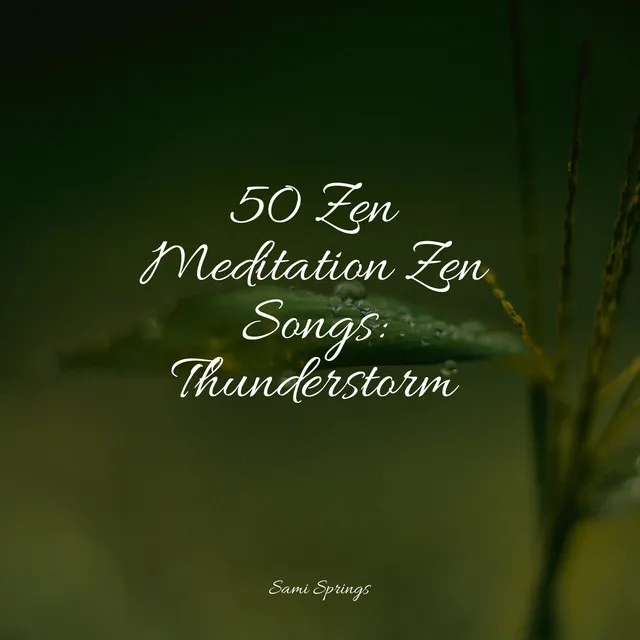 50 Zen Meditation Zen Songs: Thunderstorm