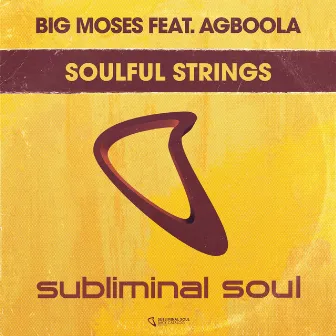 Soulful Strings by Big Moses