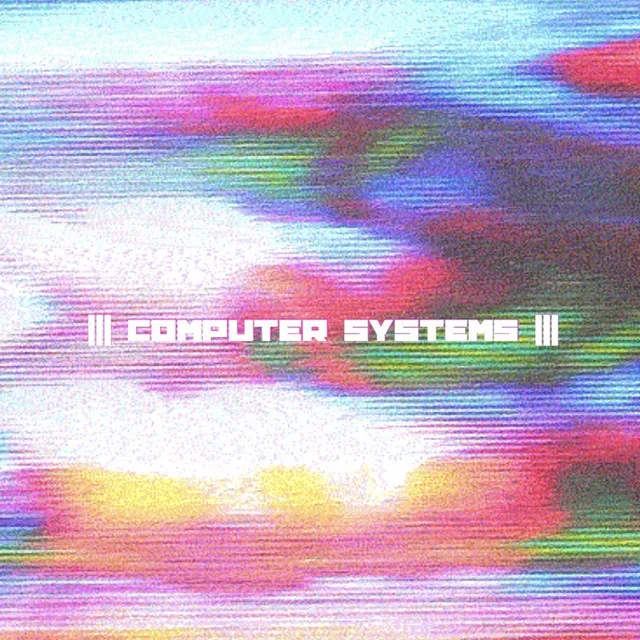 Computer Systems