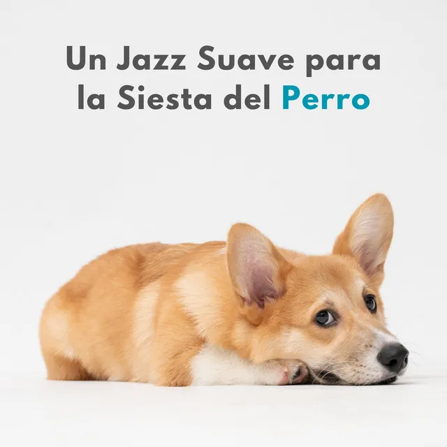 Un Jazz Suave Para La Siesta Del Perro