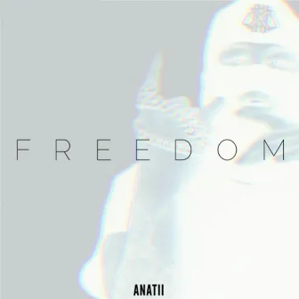 Freedom by Unknown Artist