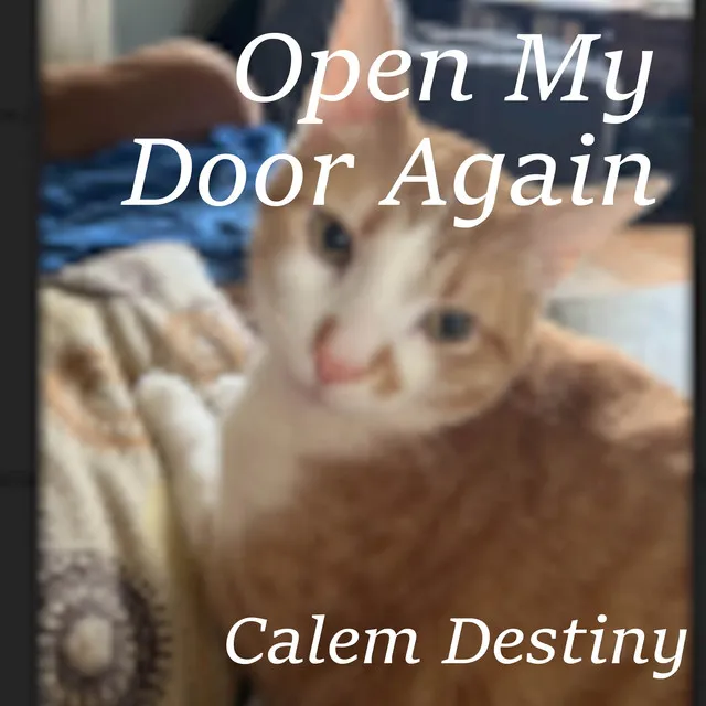 Open My Door Again