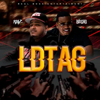 Ldtag by Roazter