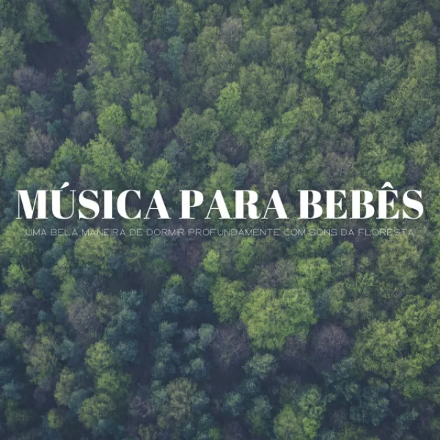 Músicas Da Natureza