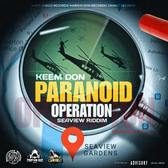 Paranoid by Keem Dan