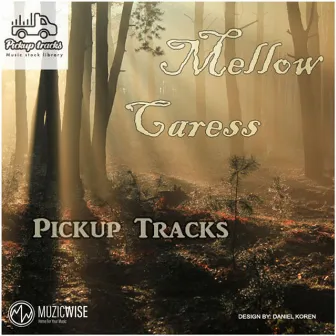 Mellow Caress by noam shacham