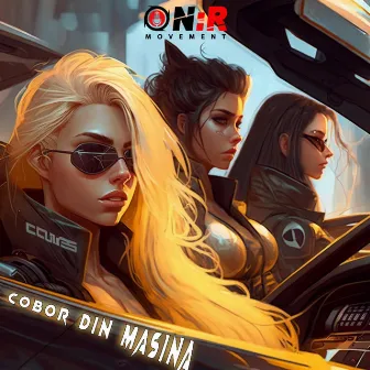 COBOR DIN MASINA by IRMA