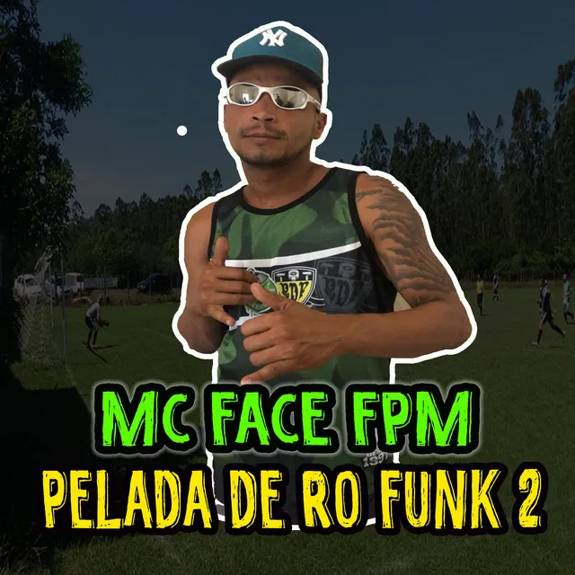 Pelada de Ro Funk, Vol. 2