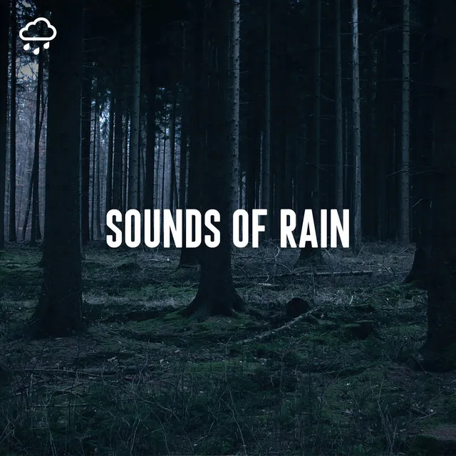 Sounds of Rain