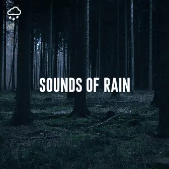 Sounds of Rain by Relaxing Rain Recordings