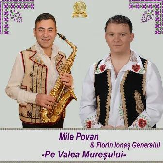 Pe Valea Muresului by Mile Povan