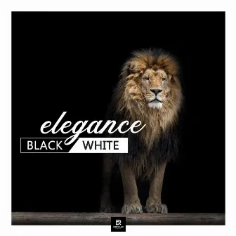 Elegance In Black & White by Kai Matzanke