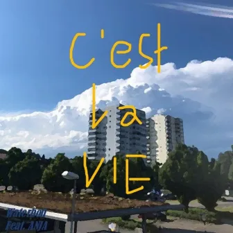 C'est La Vie by Waterboii