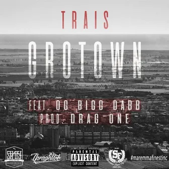 GroTown by Trais