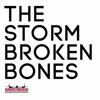 Broken Bones by The Storm