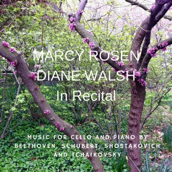 In Recital by Marcy Rosen