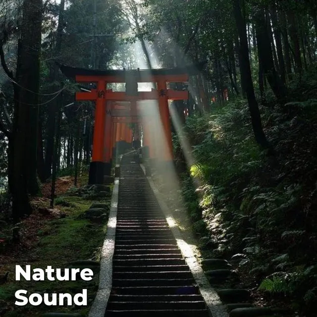 Relaxing Nature Sounds for Sleeping - Natural Calm Forest Waterfall Music Meditation Sound for Study