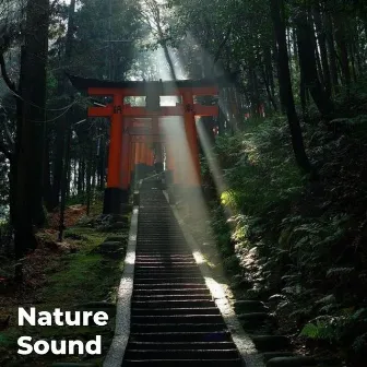 Relaxing Nature Sounds for Sleeping - Natural Calm Forest Waterfall Music Meditation Sound for Study by Heal Your Soul