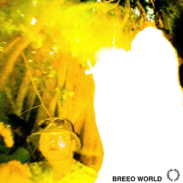 BREEO WORLD