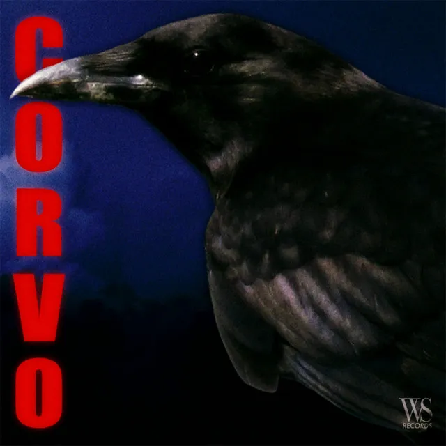 Corvo