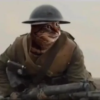 Trench Kitty by K!NDLY