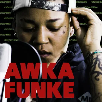 Revela Zion by AWKA FUNKE