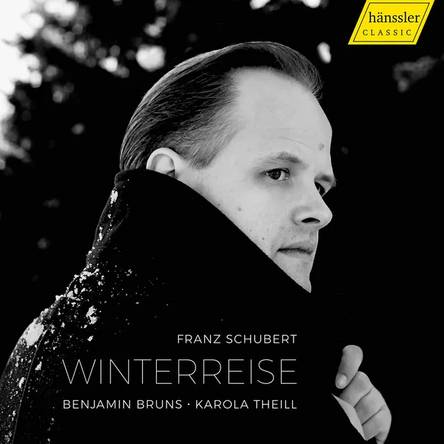 Winterreise, Op. 89, D. 911: No. 5, Der Lindenbaum