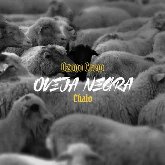 Oveja Negra by Chalo