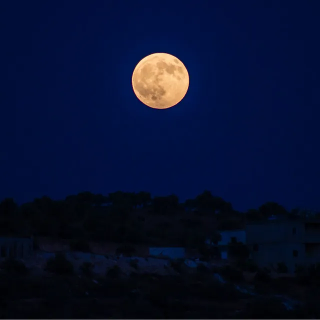 Amantes da Lua