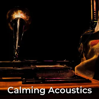 Calming Acoustics by Soulful Symphony