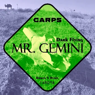 Dark Flying by Mr. Gemini