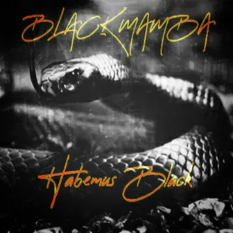 Habemus Black by Black Mamba