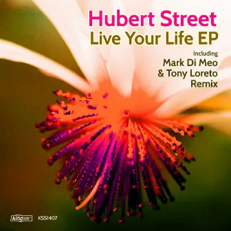 Live Your Life EP by Hubert Street