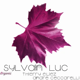 Organic (feat. Thierry Eliez & André Ceccarelli) by Sylvain Luc