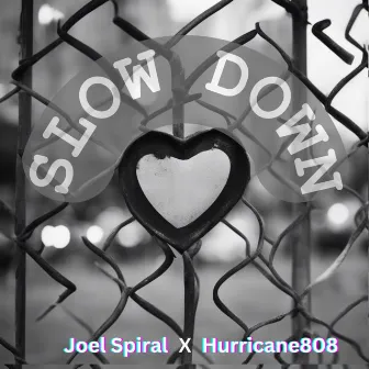 Slow Down by Joel Spiral